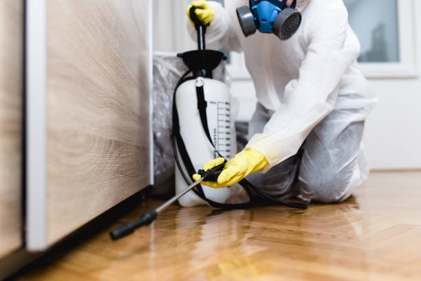 Best Local Pest Control Services  in Coeur Dalene, ID